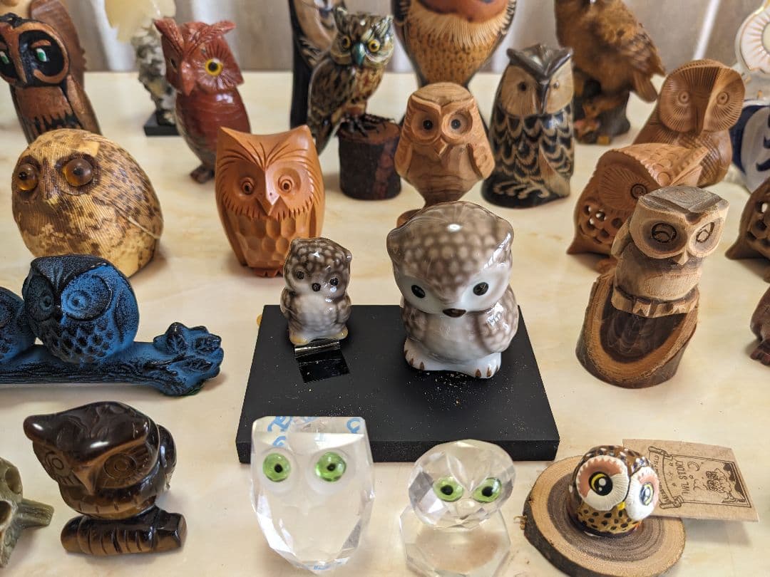 フクロウコレクション全54羽