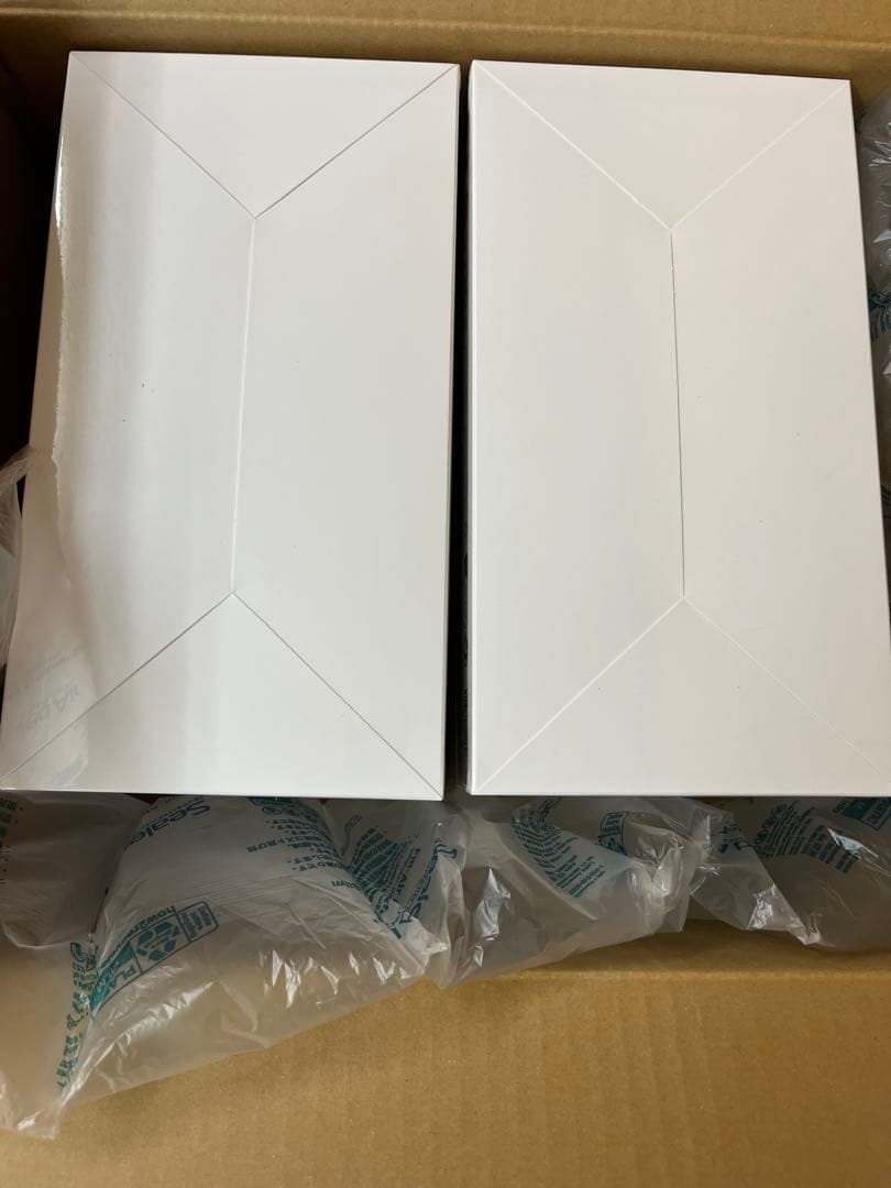 正規品　Labubu Big into Energy アソートボックス　2セット