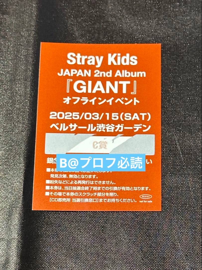 Stray Kids GIANT C賞 フラッグ 直筆サイン入 チャンビン