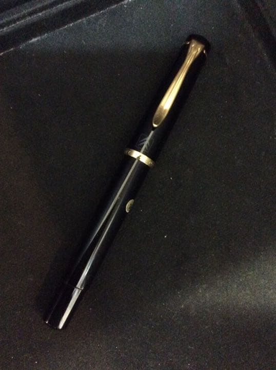 ペリカン万年筆ギュンターワーグナー(インク、ケース付)