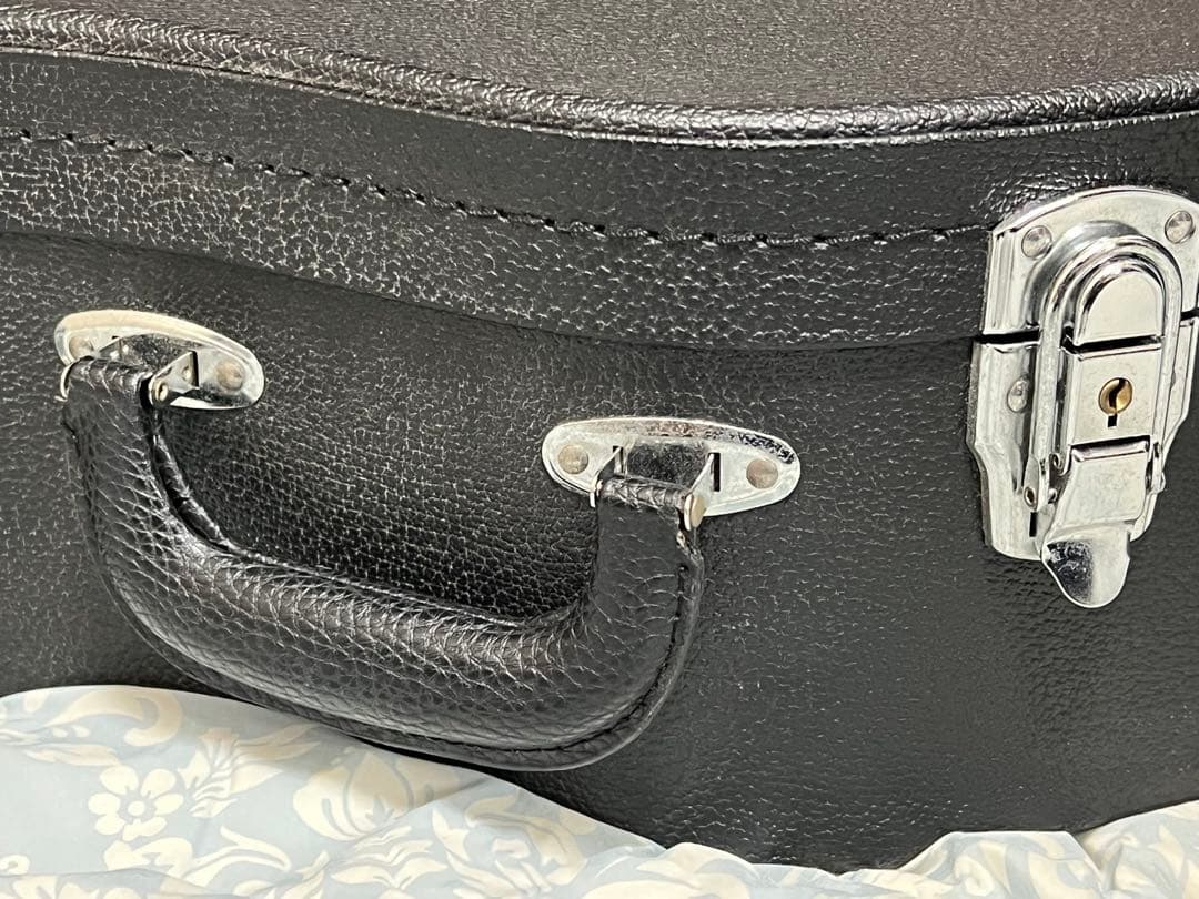 即発送 Luna guitar GYP E ASH DEANのハードケース付き