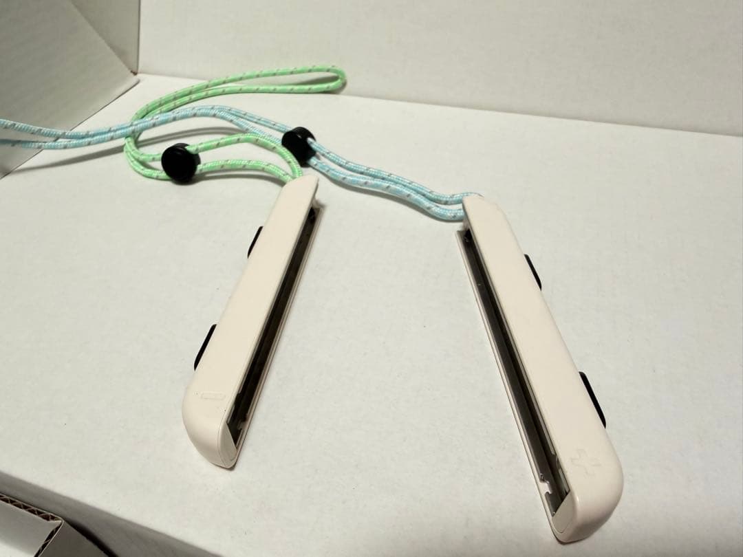 Nintendo Switch あつまれ どうぶつの森セット 中古