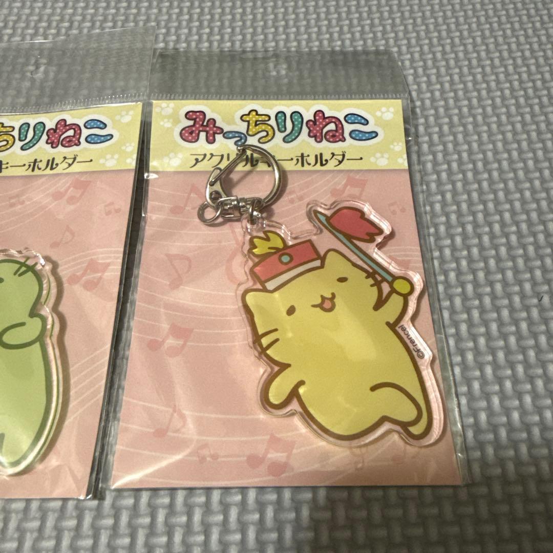 みっちりねこ　アクリルキーホルダー5点セット