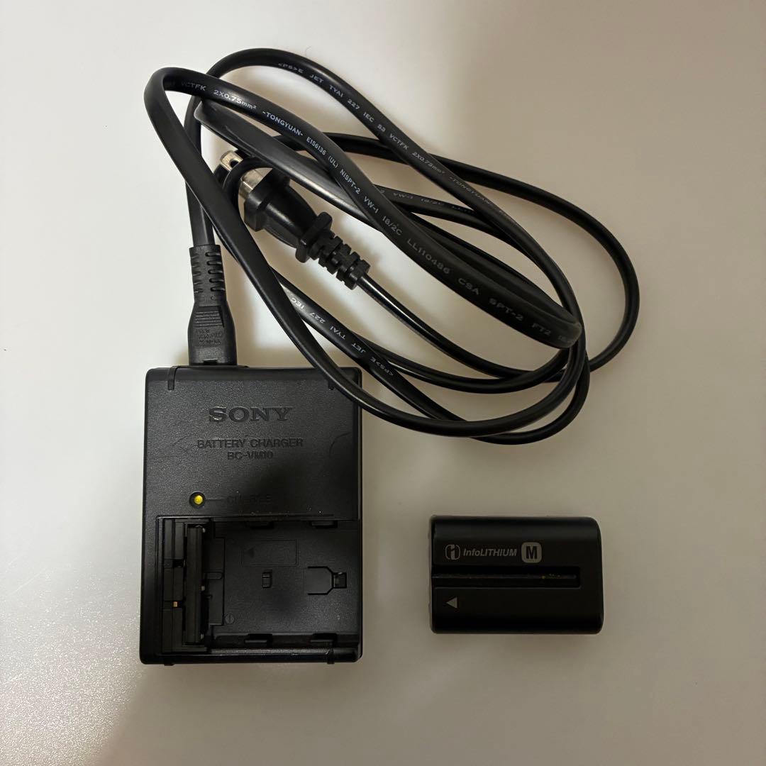 【一眼レフデビューにおすすめ！！】SONY α350 初心者セット【作例付き】