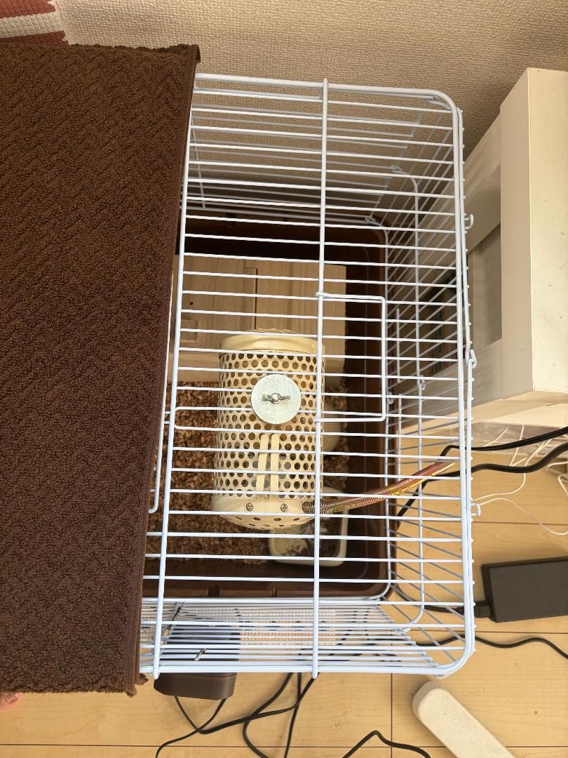 CASA ヒートセラミック 100W＋デジタルサーモ300 セット売り