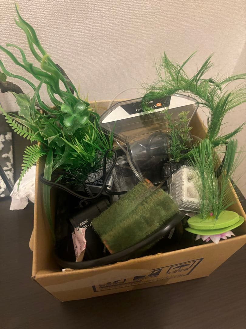 水槽と付属品セット　淡水魚用
