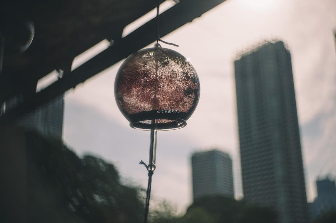 帝国の標準F1.9！Eマウント解禁！ZUNOW Cine 14mm F1.9