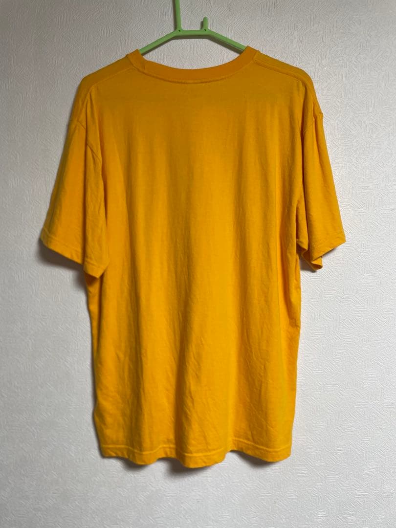 FRUITS ZIPPER OSHI API Tee(鎮西寿々歌)