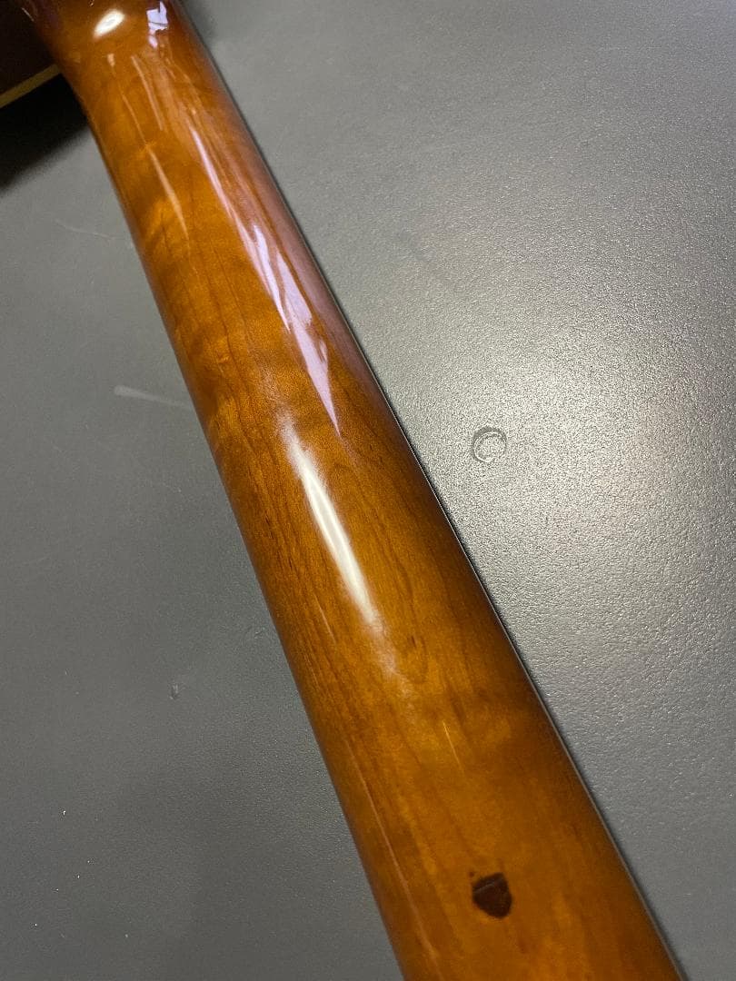 Photogenicレスポールタイプ