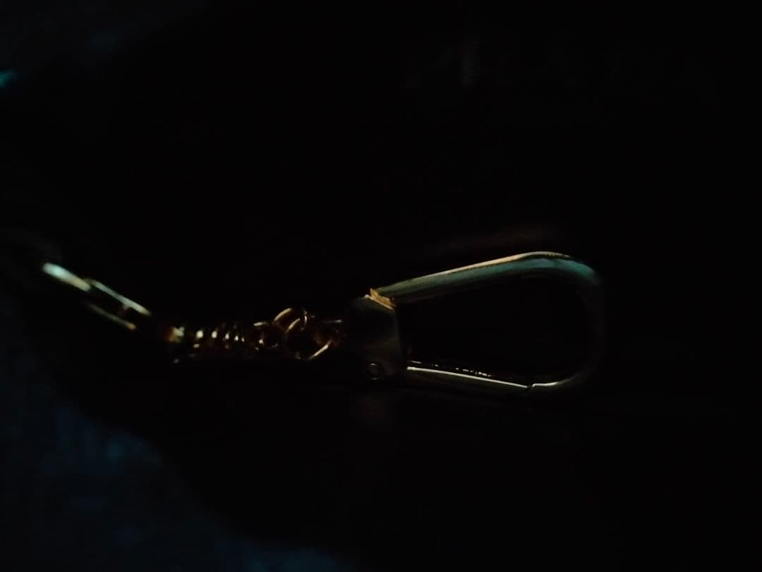 ブラック ケース ロゴ ゴールド とブラックケース合計2点