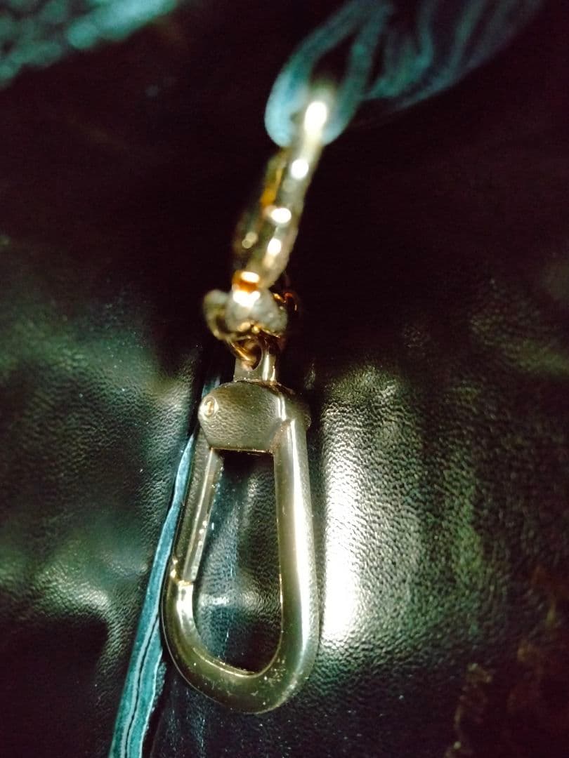 ブラック ケース ロゴ ゴールド とブラックケース合計2点