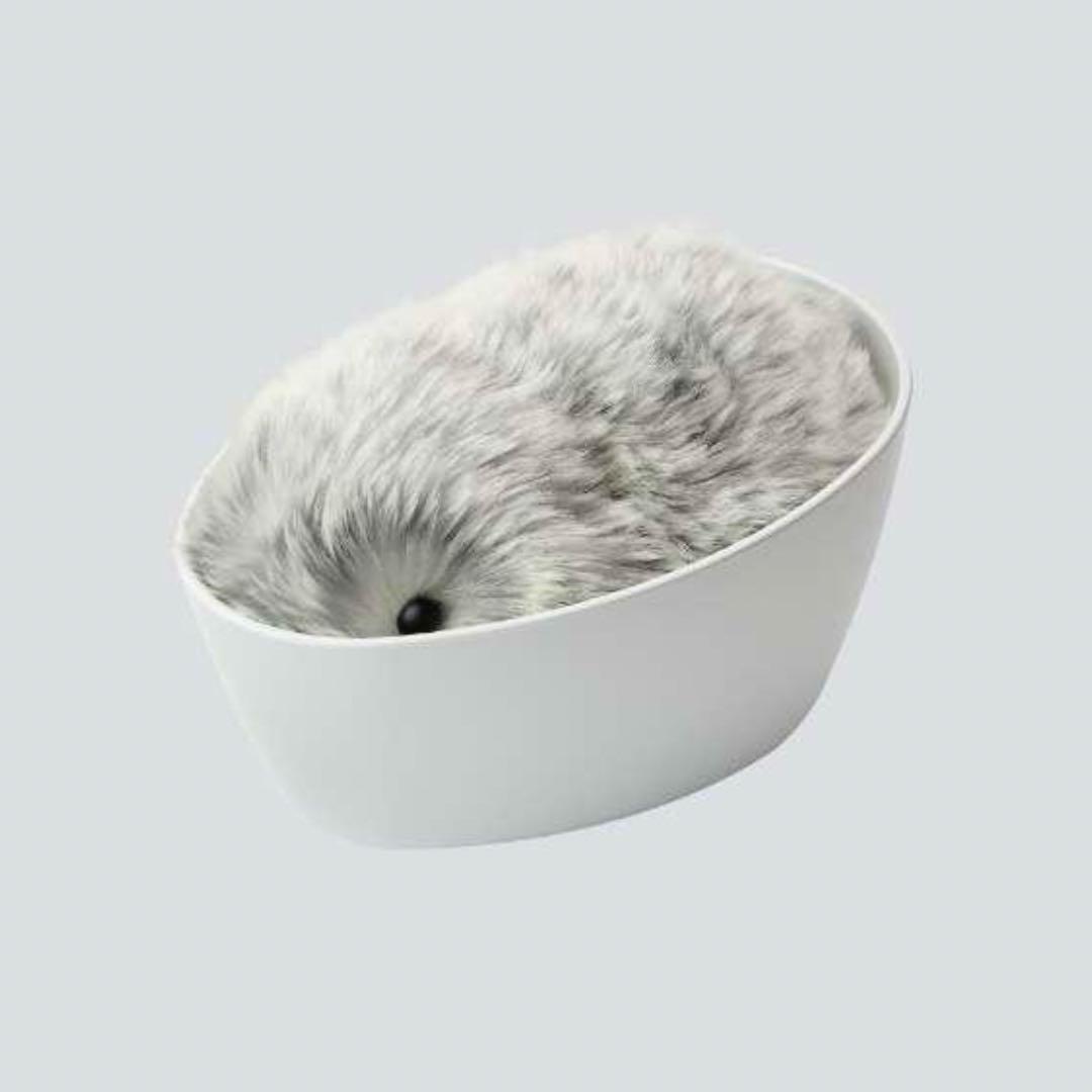 CASIO モフリン 新品未開封