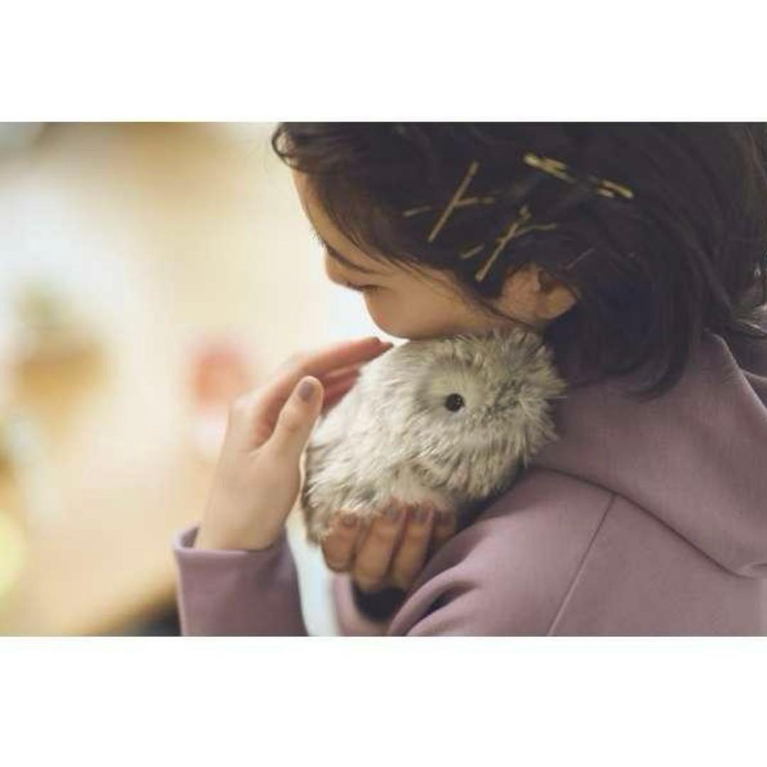 CASIO モフリン 新品未開封