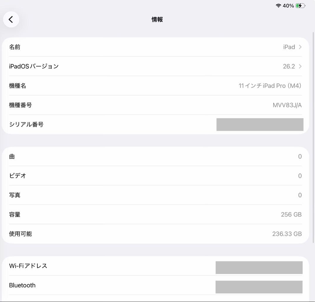 iPad Pro 11 M4 256GB WiFIモデル 98% 美品