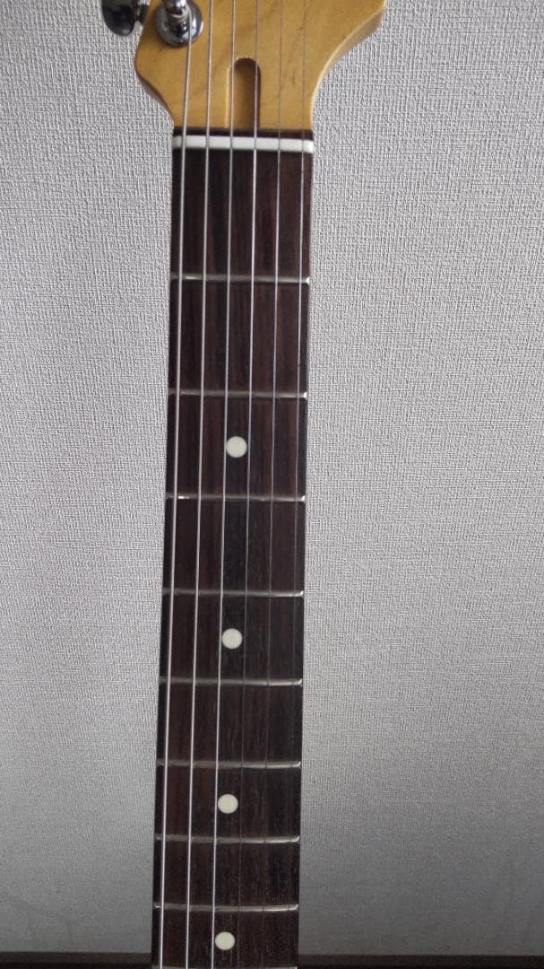 フジゲン JST-6R J-Classic バッグ付 日本製