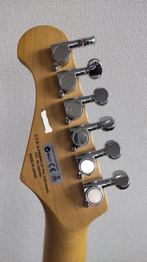 フジゲン JST-6R J-Classic バッグ付 日本製