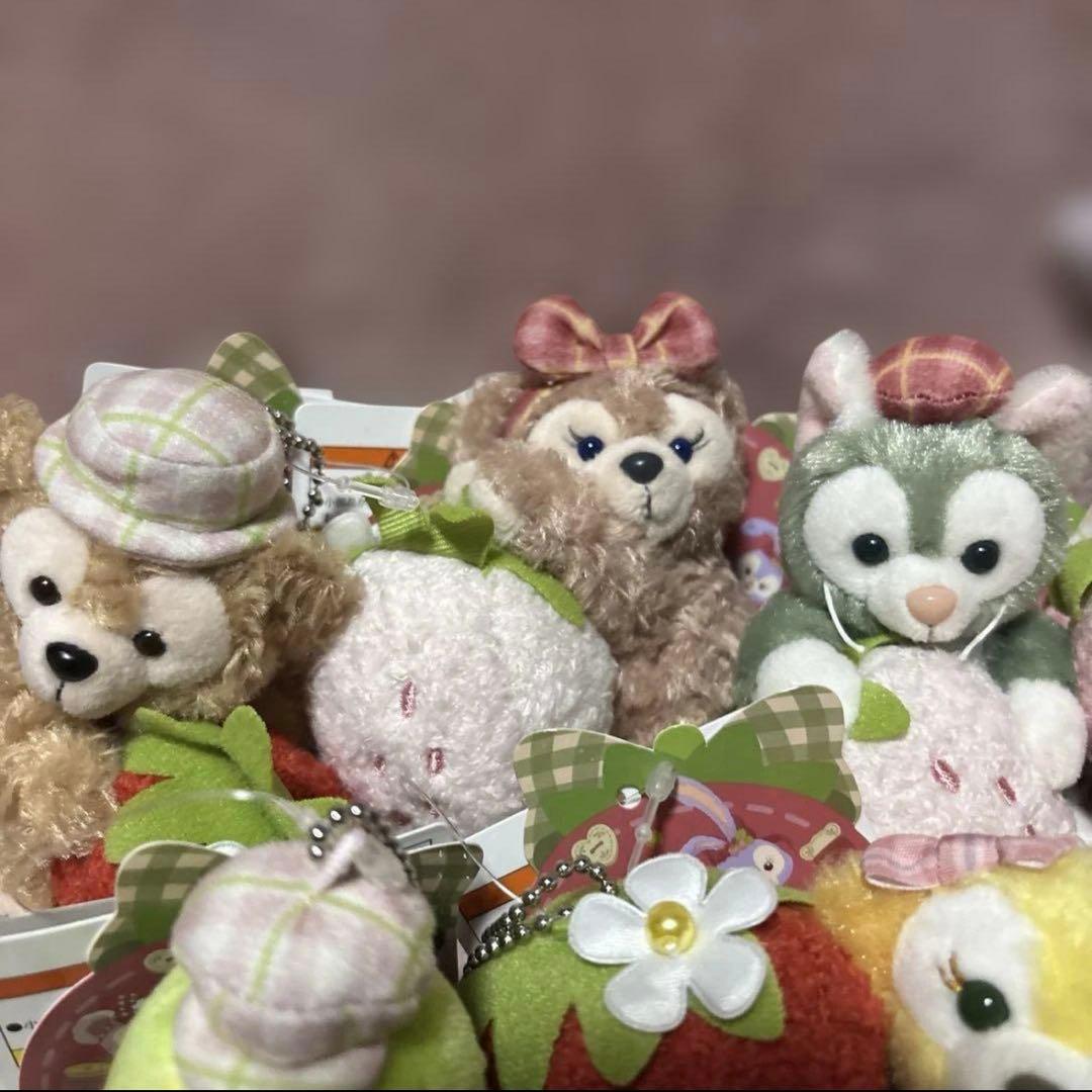 ♥️ディズニーシー♪ダッフィー＆フレンズ ぬいぐるみチェーンセット♥️