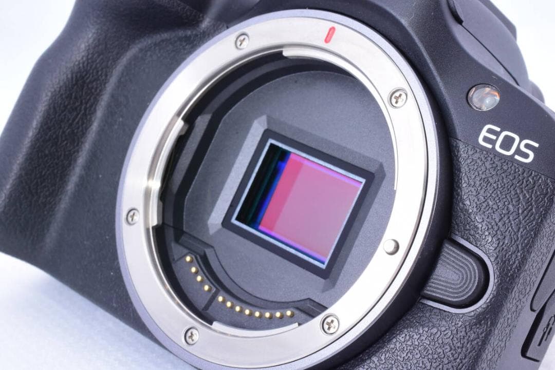 【❄ワイヤレス転送❄】Canon キヤノン EOS R100 ボディ APS-C