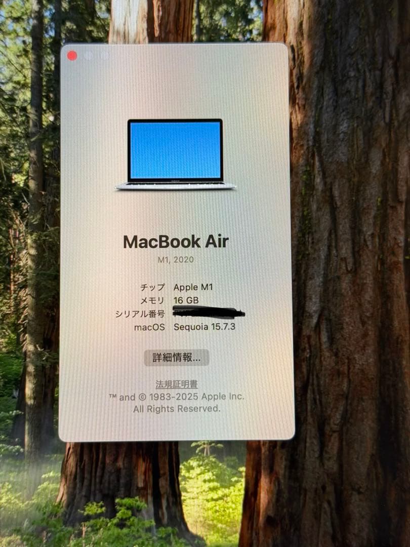 Apple MacBook Air (M1, 2020) シルバー JIS