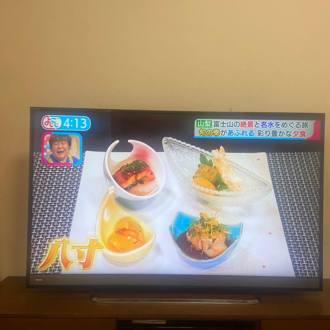 REGZA 液晶テレビ 大画面 高画質50インチ