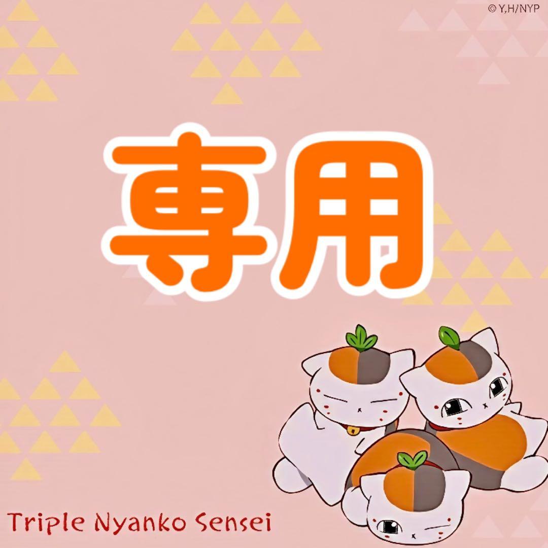 専用 取り置き ロビン10個