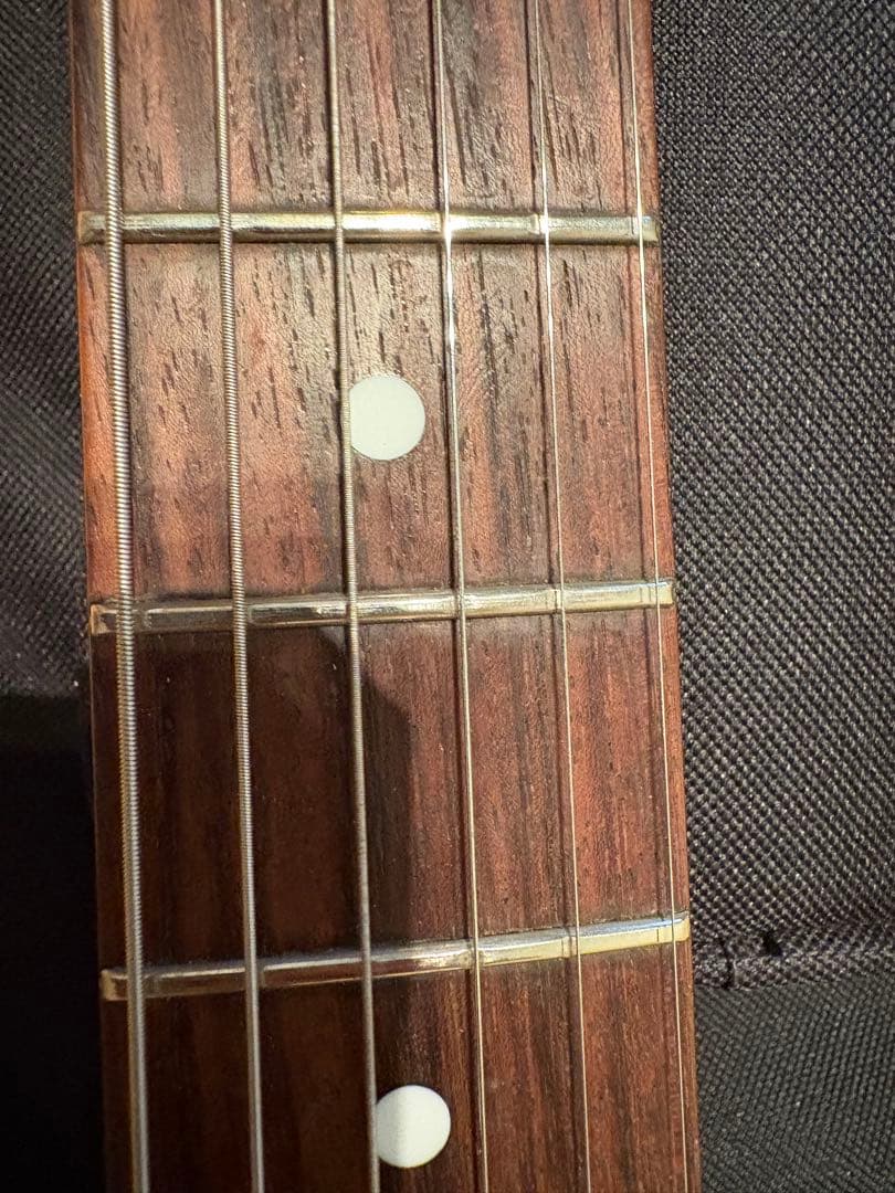 Crews maniac sound KTR TL-PH テレキャスター