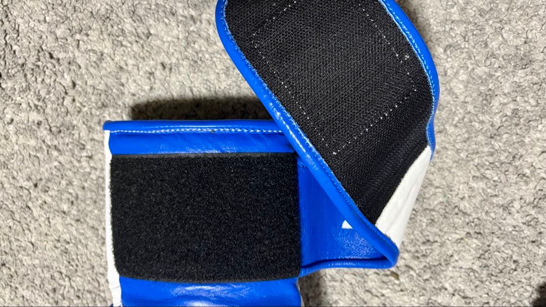 PRIZE RING ボクシンググローブ 10oz ProfessionalSS