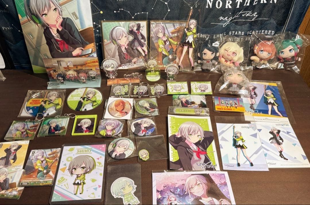 d*3様 日野森志歩 Leo/need まとめ売り