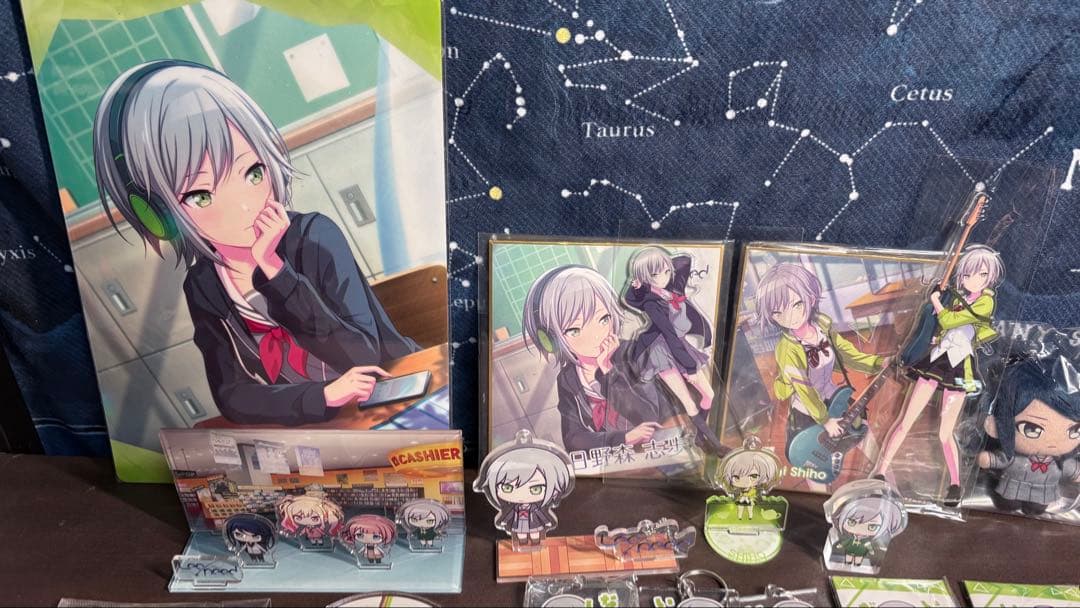 d*3様 日野森志歩 Leo/need まとめ売り