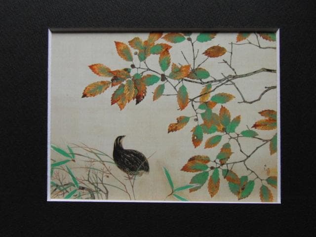 横山大観、【鶉】、希少な画集より、新品高級額装付、状態良好