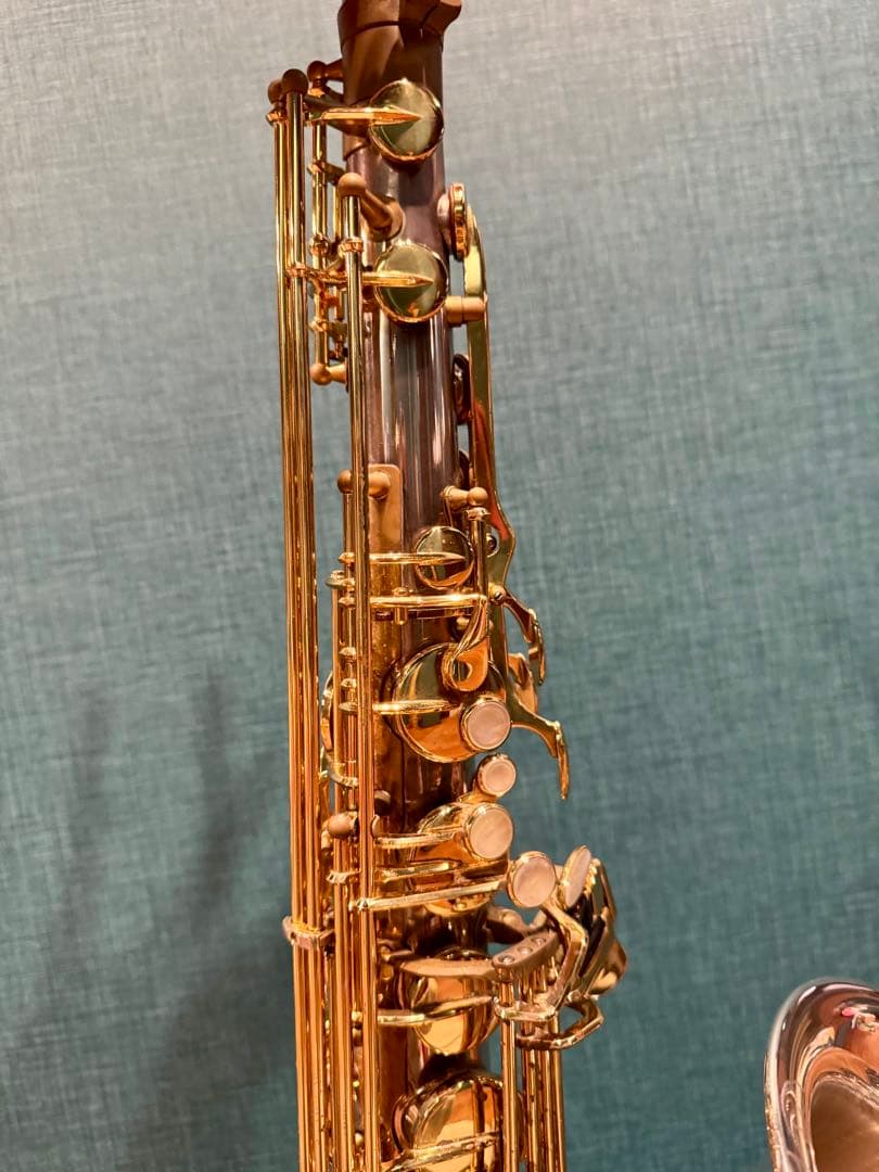 ヤナギサワテナーサックスT-9930BSB ZLimited現行PGPネック