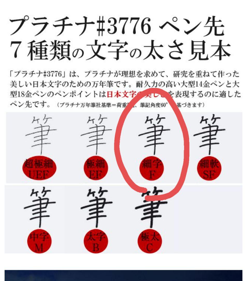 PLATINUM（プラチナ万年筆） 万年筆 センチュリー ブラックインブラック