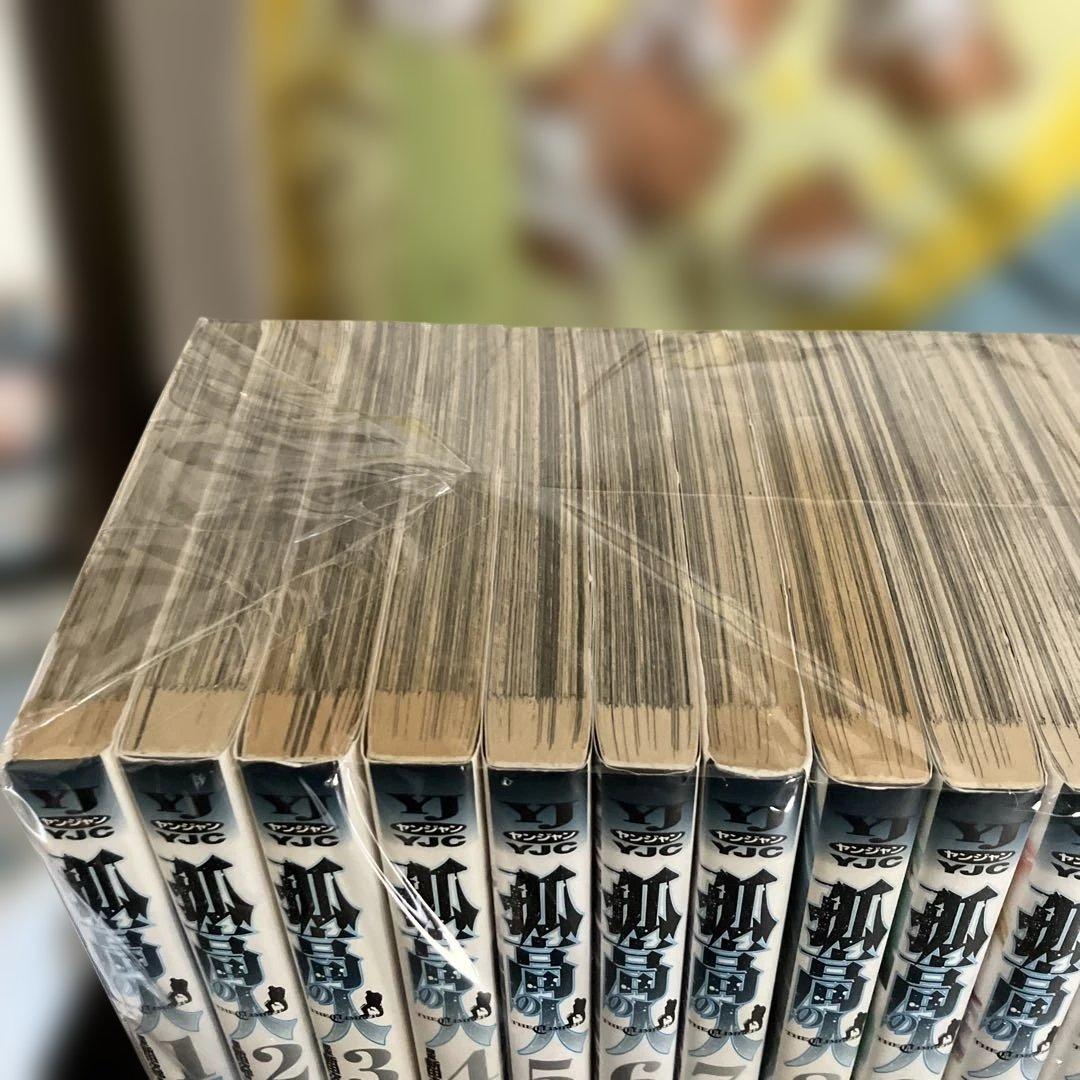 孤高の人　全巻セット 17巻