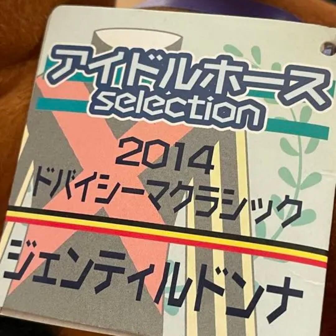 【ジェンティルドンナ/2014 DUBAI SHEEMA CLASSIC】