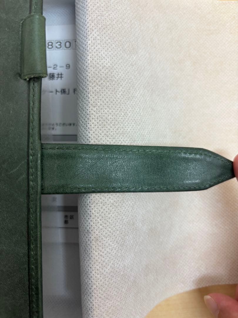 Davinci ロロマクラシック　バイブルサイズ　グリーン