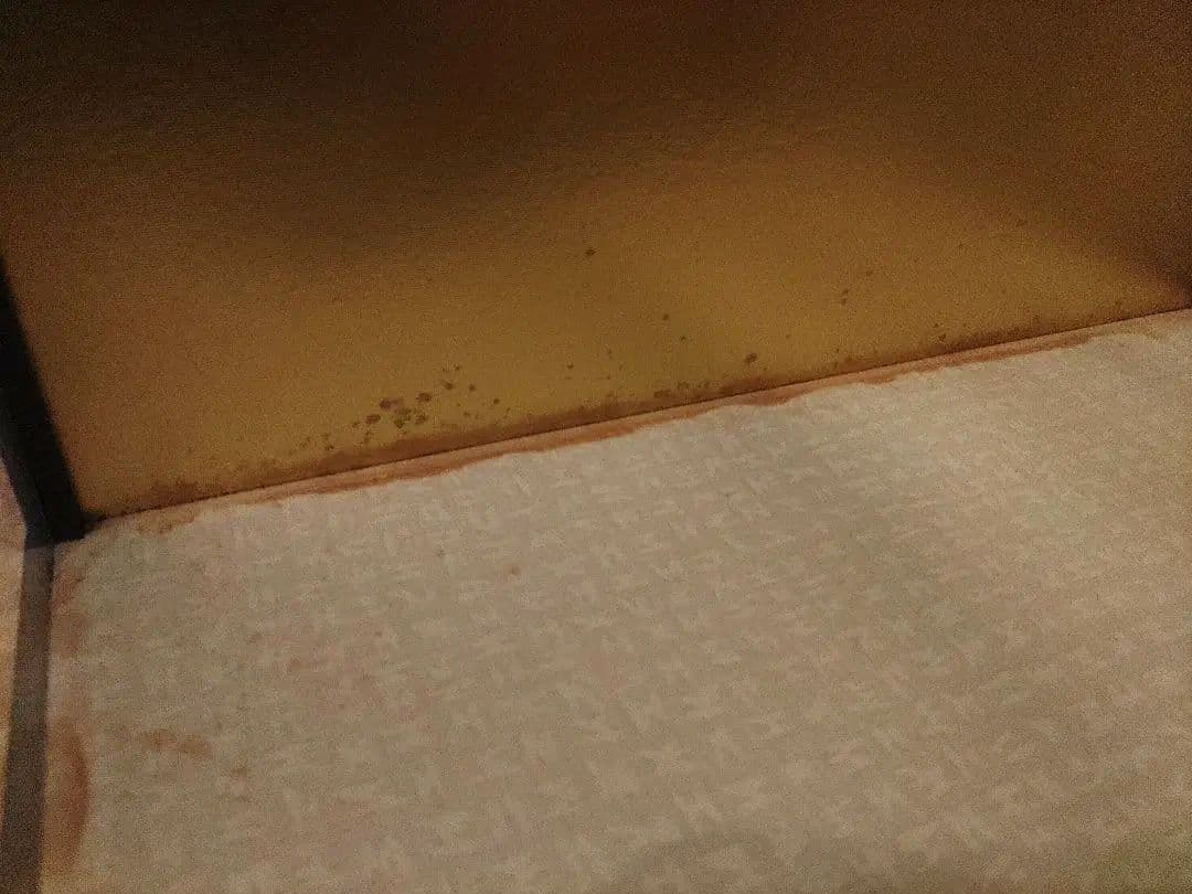 市松人形 (日本人形)11号 人形の久月 赤 着物 花柄 豪華 ガラスケース付き