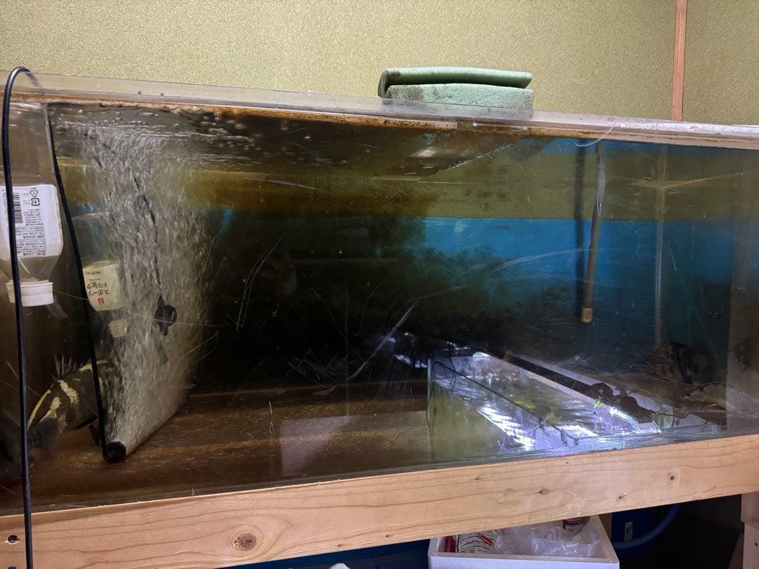 1200×600×450 オーバーフロー水槽　フルセット