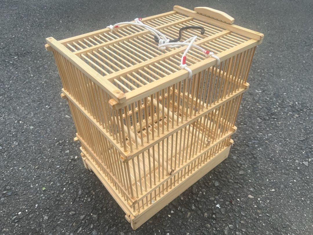 shyokoページ ナンバー68、69セット販売