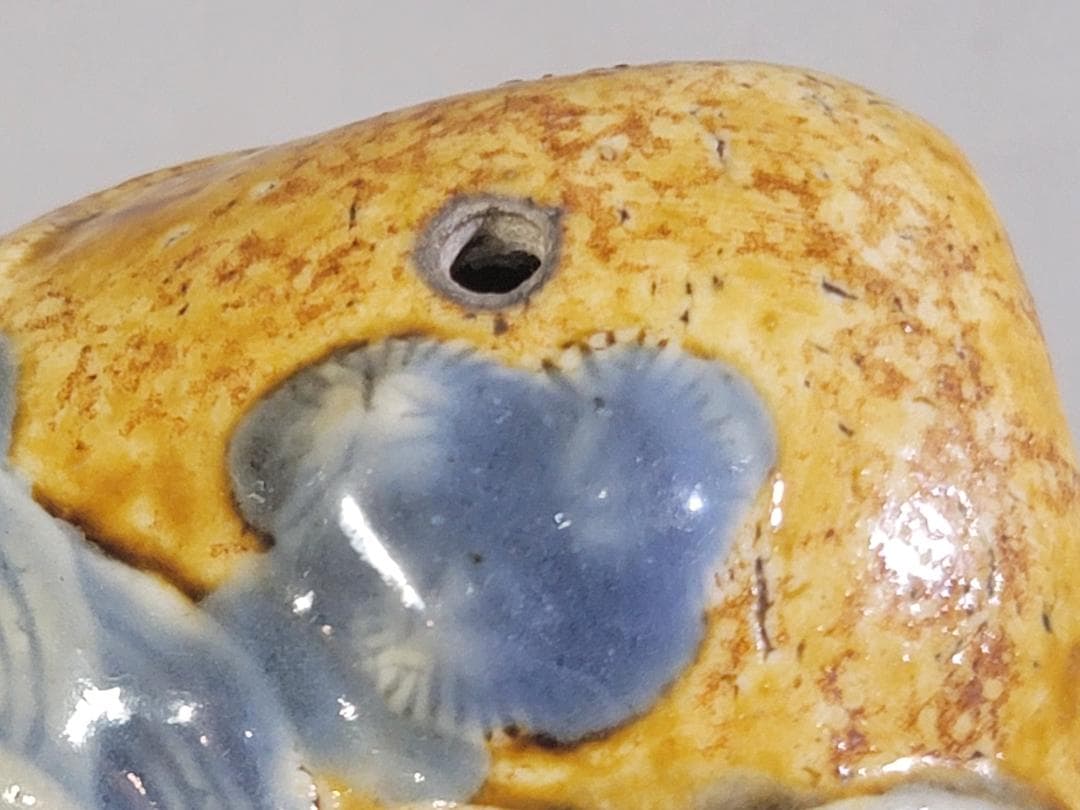 古平戸 貝 青海波紋 水滴 DT355