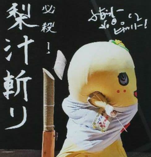 ふなっしー写真アートフレーム