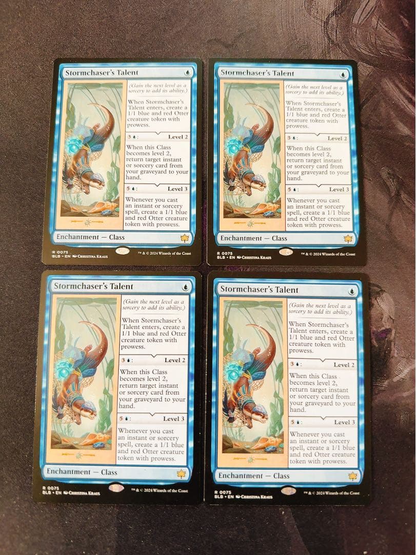 嵐追いの才能　英語　4枚セット