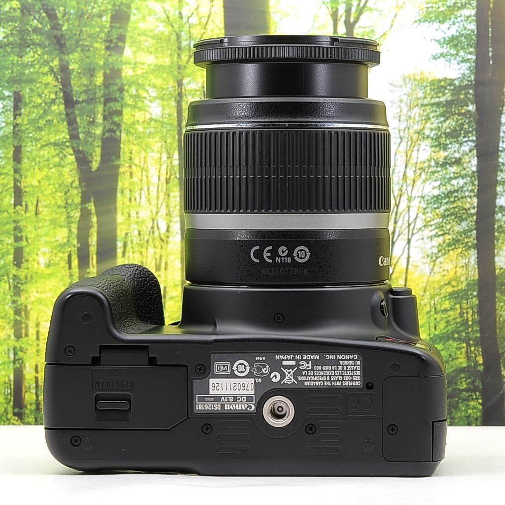 ショット数434枚！スマホ転送セット☆Canon Kiss X2 ★