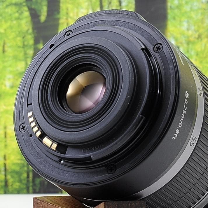 ショット数434枚！スマホ転送セット☆Canon Kiss X2 ★