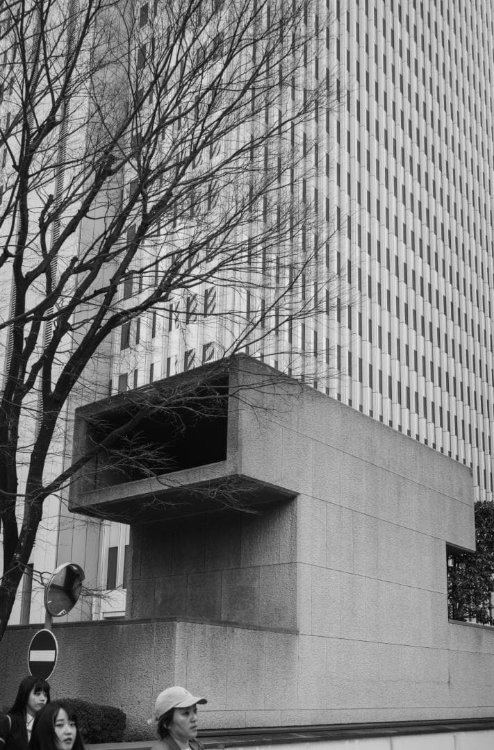 Leica M10 モノクローム ＋ 正規バッテリー5個（使用頻度少なめ）