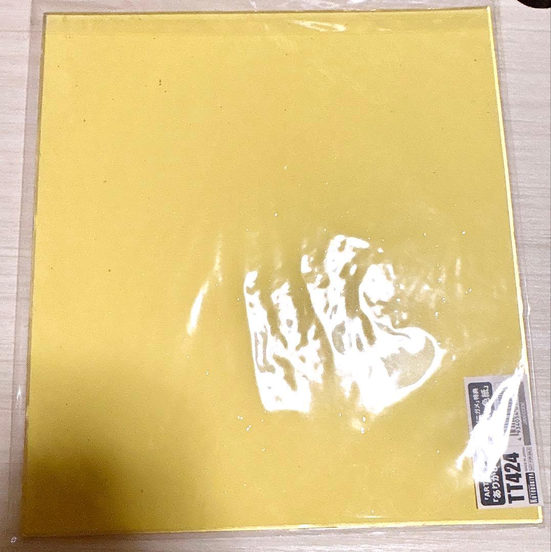 未開封品 ポケモン LEAF with ZENIGAME フィギュア 色紙