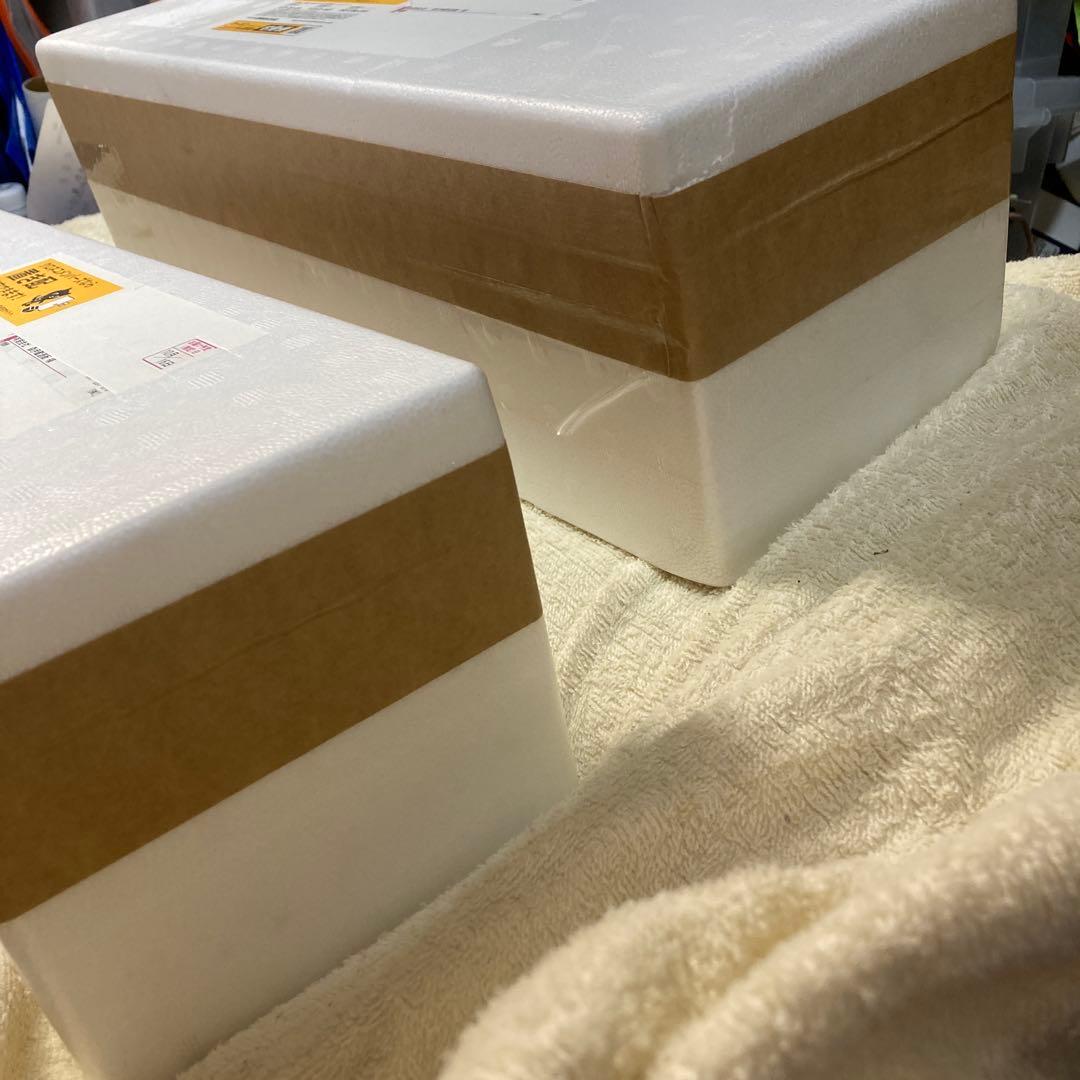 森伊蔵★1,800ml★芋焼酎★2本セット★未開封新品★10月16日受取分