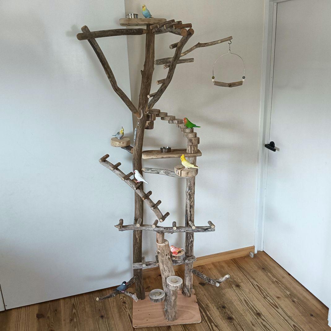 バードアスレチックジム大型 ① 天然木 自然木 流木 インコ おもちゃ