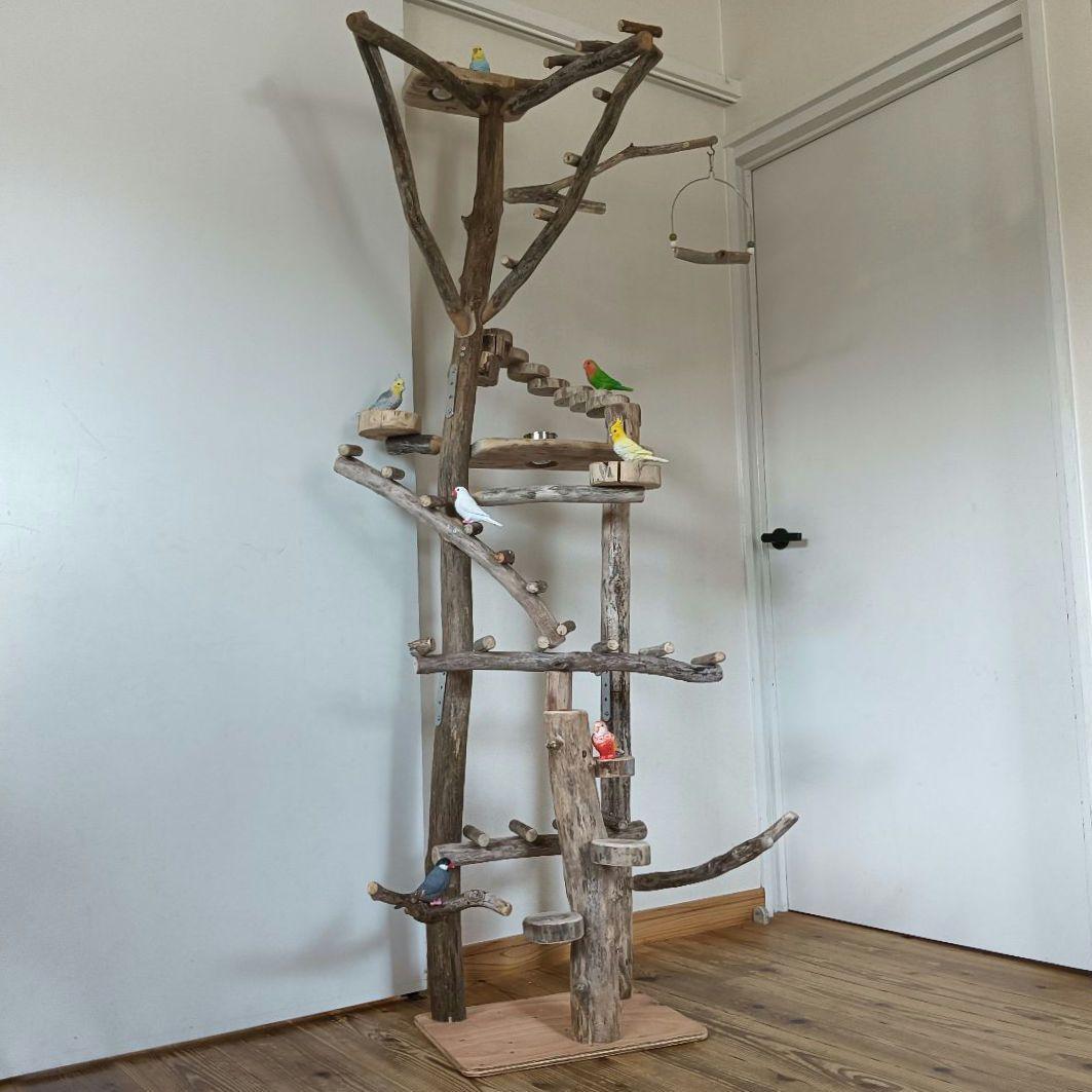 バードアスレチックジム大型 ① 天然木 自然木 流木 インコ おもちゃ