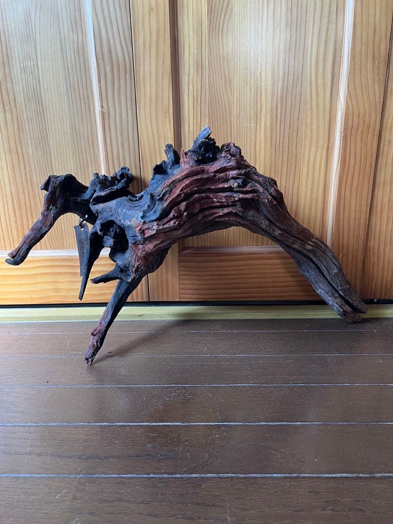 ADA ホーンウッド　HORN WOOD LL