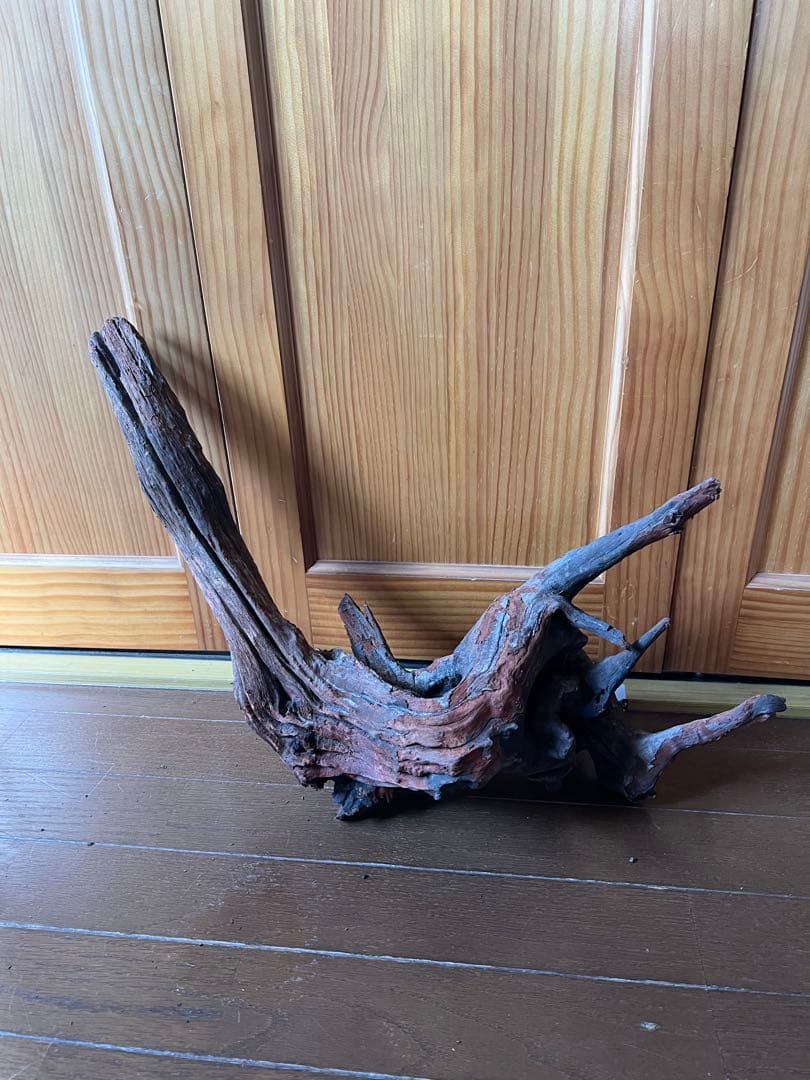 ADA ホーンウッド　HORN WOOD LL